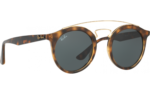 Anteojos Lentes de Sol Ray Ban Gatsby 1 RB4256 Tortuga/Verde Clásico 49-20
