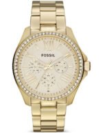 Reloj Fossil Coleccion Cecile Modelo AM4482 Para Mujer