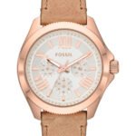 Reloj Fossil Coleccion Cecile Modelo AM4532 Para Mujer