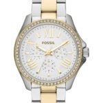 Reloj Fossil Coleccion Cecile Modelo AM4543 Para Mujer