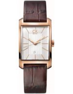 Reloj Calvin Klein Mujer Window K2M23620