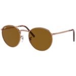 Anteojos Lentes de Sol Ray Ban New Round RB3637 Oro rosa/marrón clásico 53-21