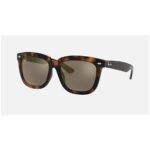 Anteojos Lentes de Sol Ray Ban Classic RB4262D 63435A 57 Tortuga/Marrón