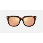 Anteojos Lentes de Sol Ray Ban Classic RB4262D 710/2Y 57 Tortuga