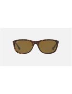 Anteojos Lentes de Sol Ray Ban Classic RB4267F 90273 59 Habana/Marrón - Imagen 4