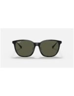 Anteojos Lentes de Sol Ray Ban Classic Rb4333D Negro/Verde Polarizado 55-17 - Imagen 2